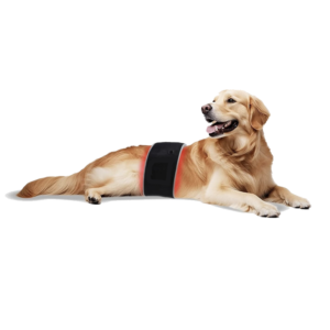 GlowRelief™ Infrared Therapy Belt