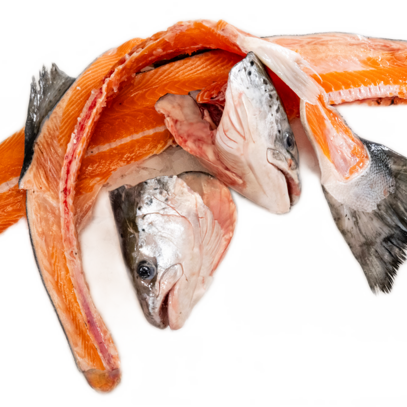 salmon heads and tails