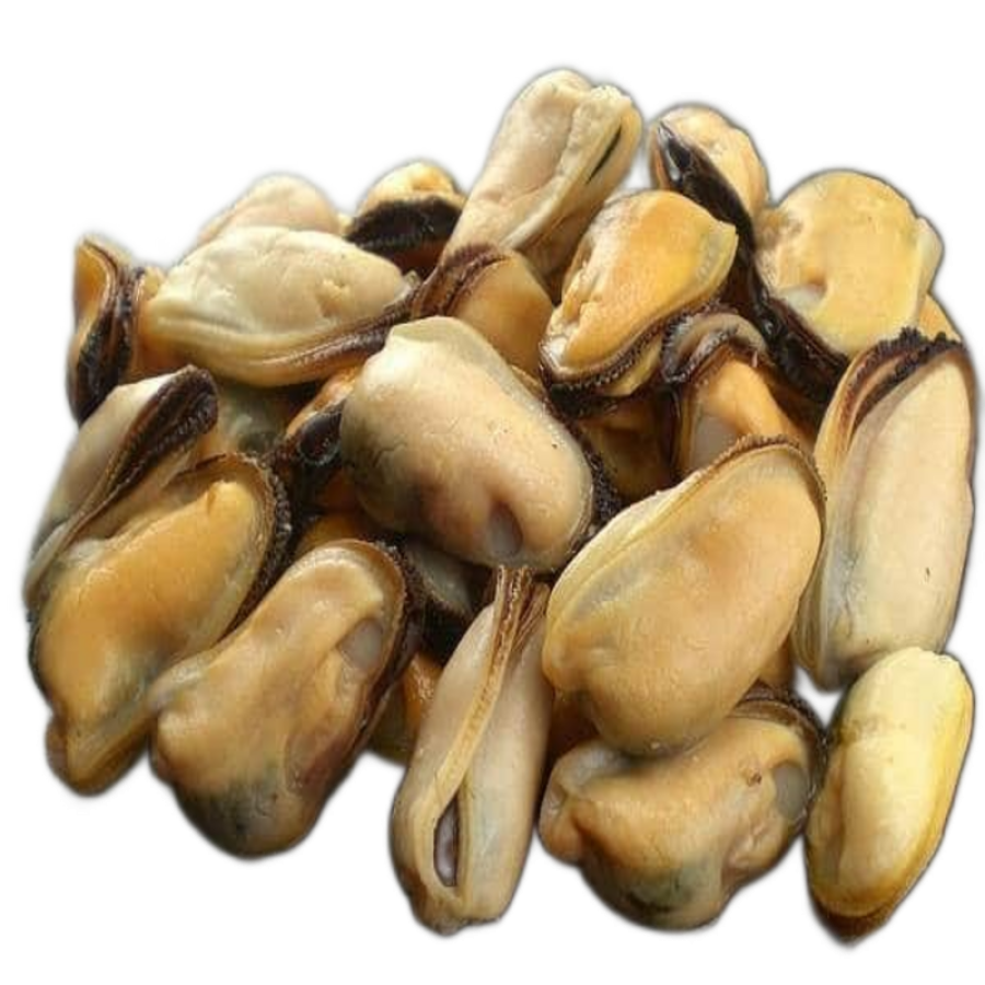 Mussel-Meat.webp