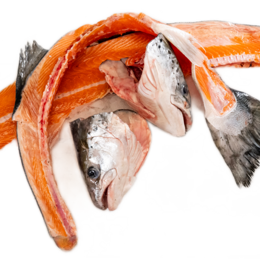salmon heads and tails